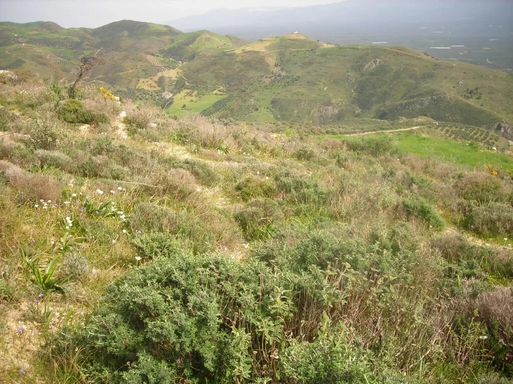 2 - sea view plot of land for sale in míres crete greece