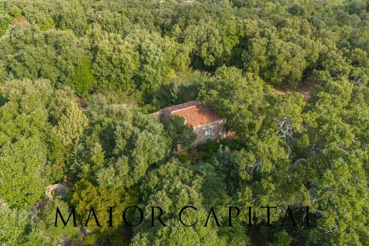 1 - vente terrain calangianus sardaigne italie