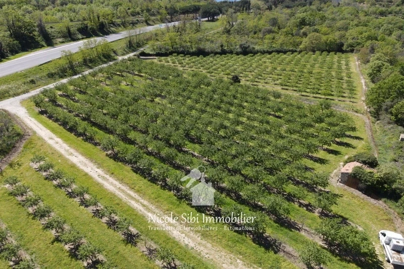 1 - vendita terreno rodès pirenei-orientali francia