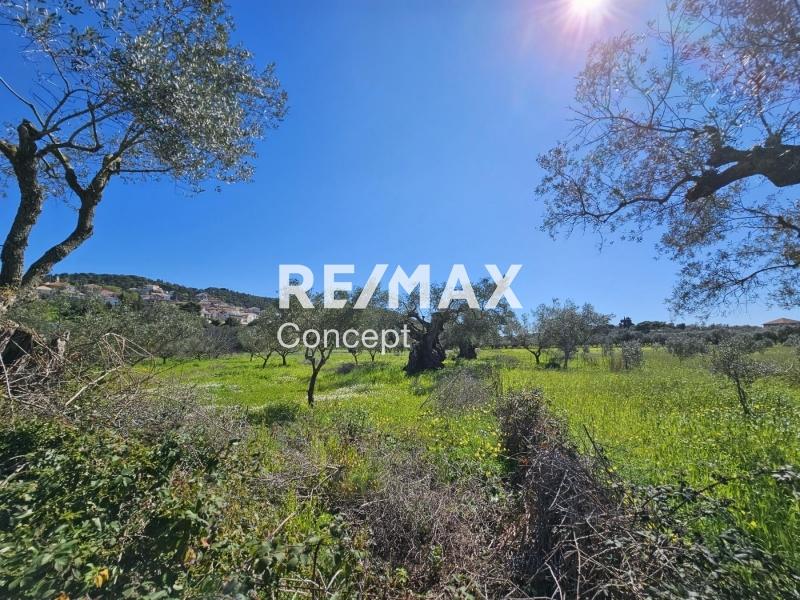 Terreno di 2 044 m²