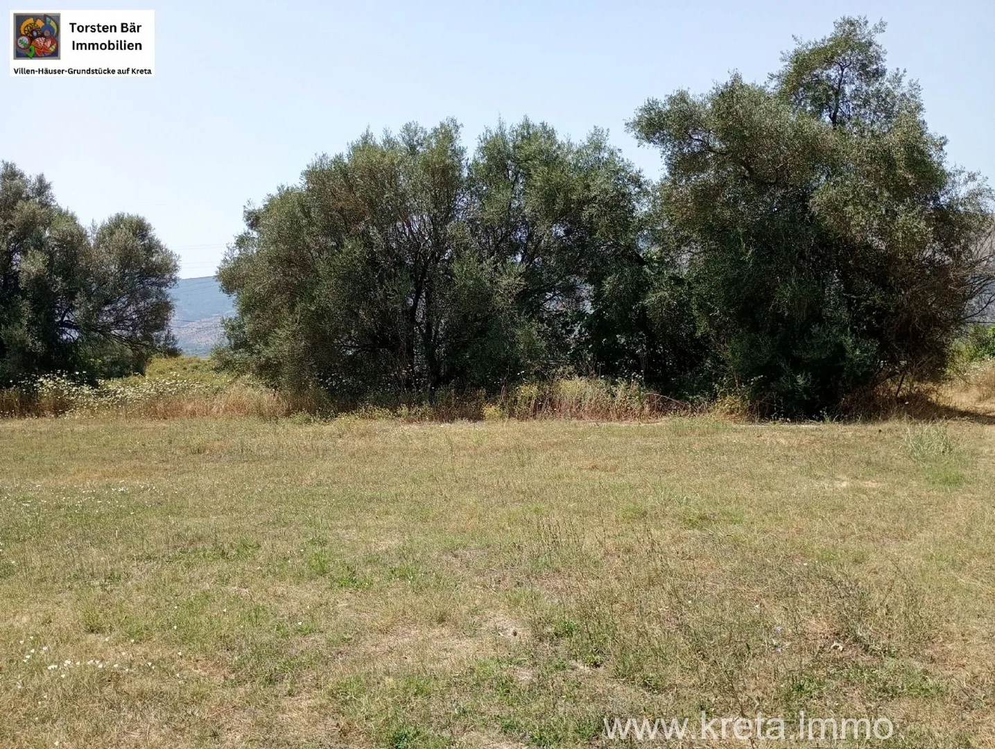 1 - vente terrain margariti épire grèce