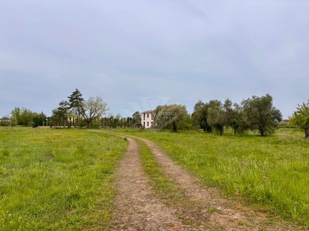 2 - vente propriété camaiore toscane italie