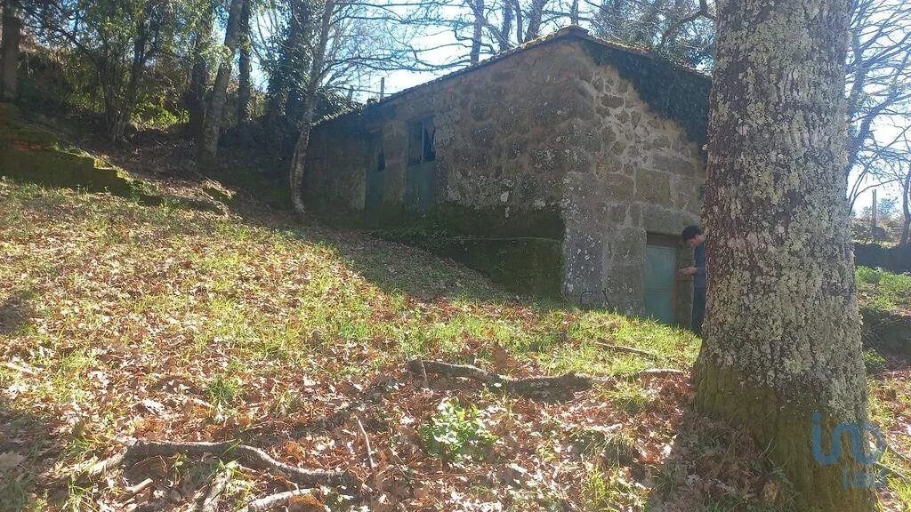 1 - venta terreno baião región norte portugal