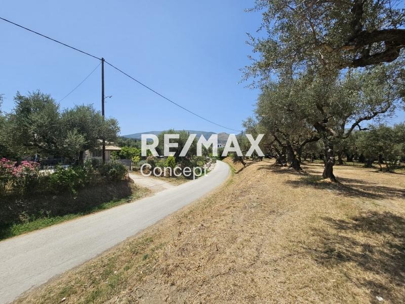 2 - vendita terreno zante isole ioniche grecia