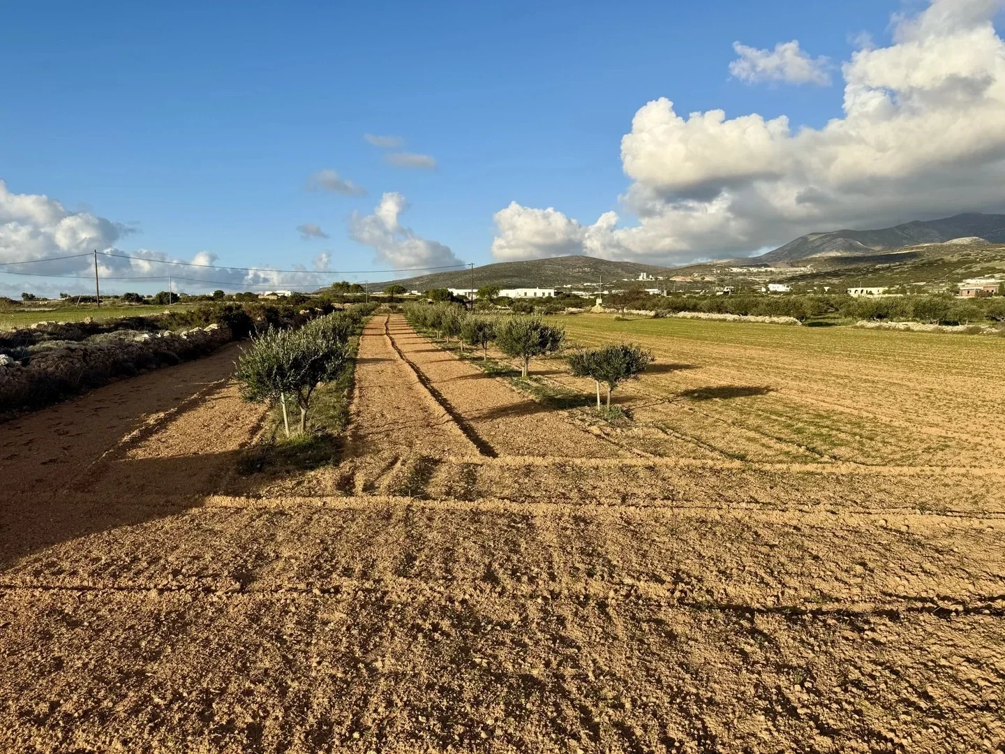 1 - verkauf grundstück meerblick paros - kykladen südliche ägäis griechenland