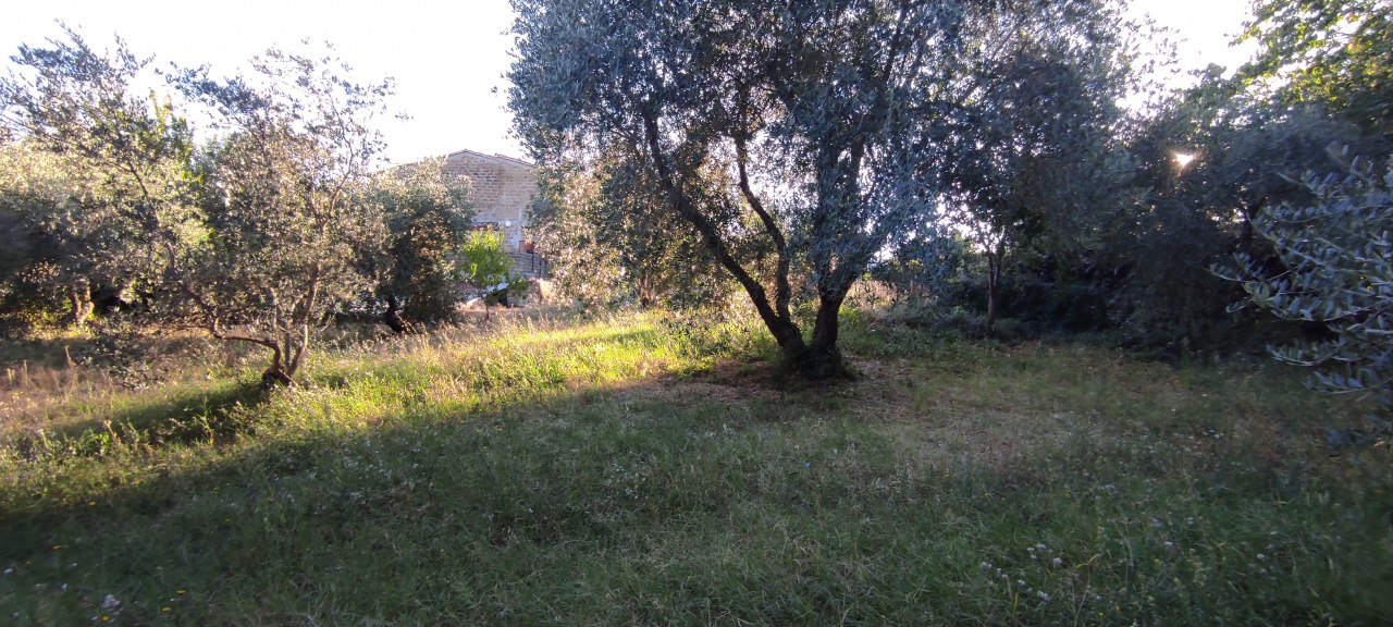 2 - vendita stabile sorano toscana italia
