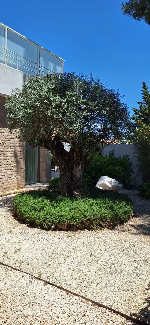2 - vakantiewoningen te huur huis nueva andalucia andalusië spanje