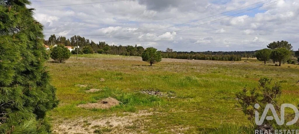 2 - plot of land for sale in branca centro region portugal