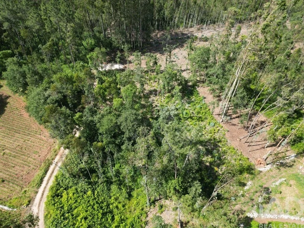 2 - vendita terreno alqueidão da serra regione centro portogallo