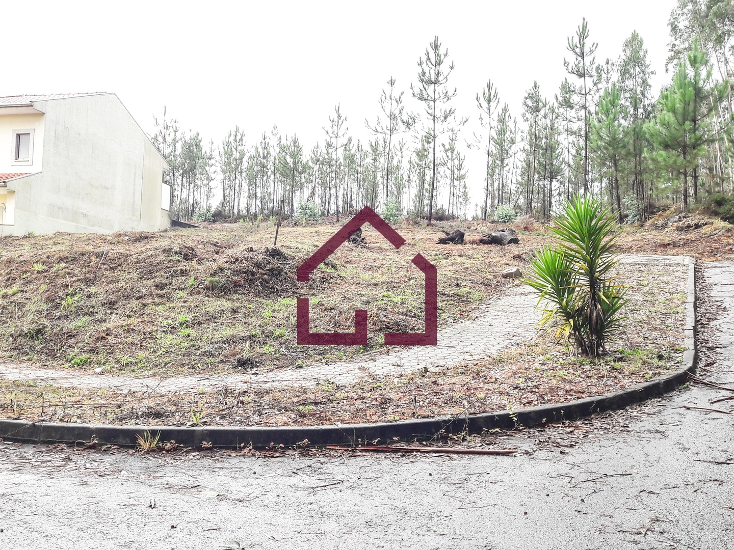 1 - plot of land for sale in macieira de sarnes north region portugal