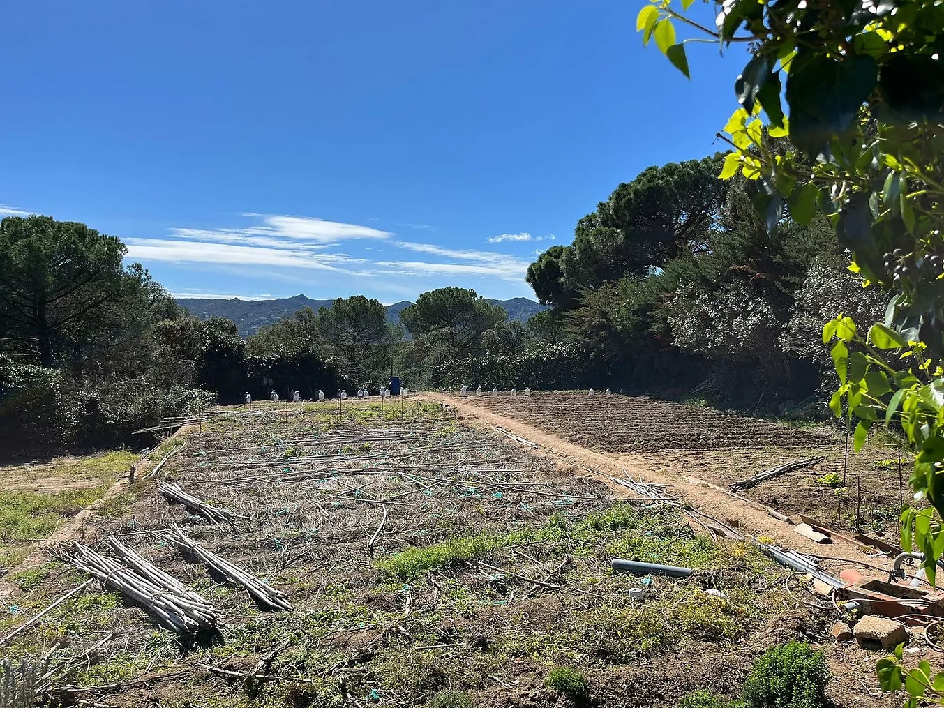 2 - vente terrain santa cristina d'aro catalogne espagne