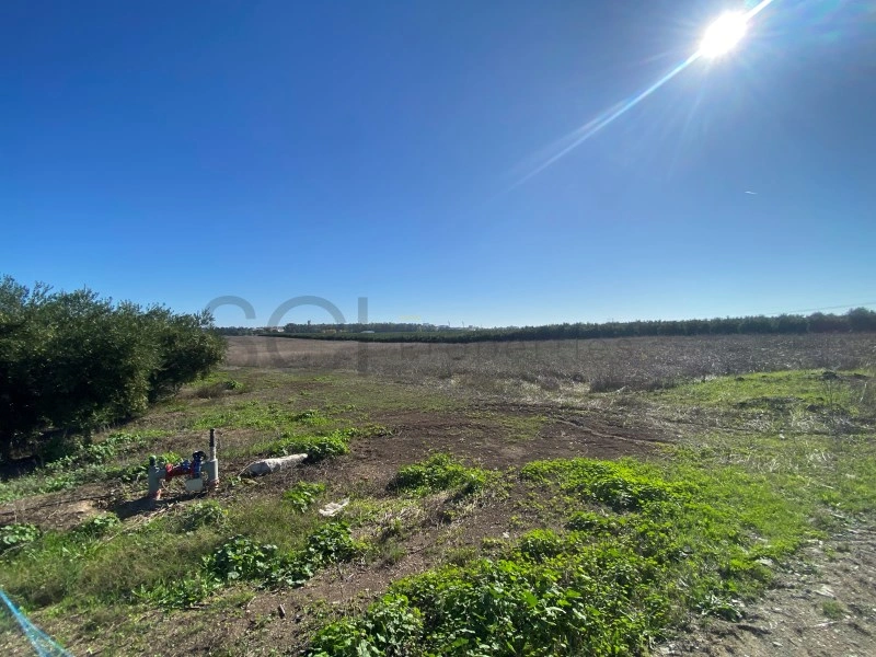 1 - plot of land for sale in beja alentejo portugal