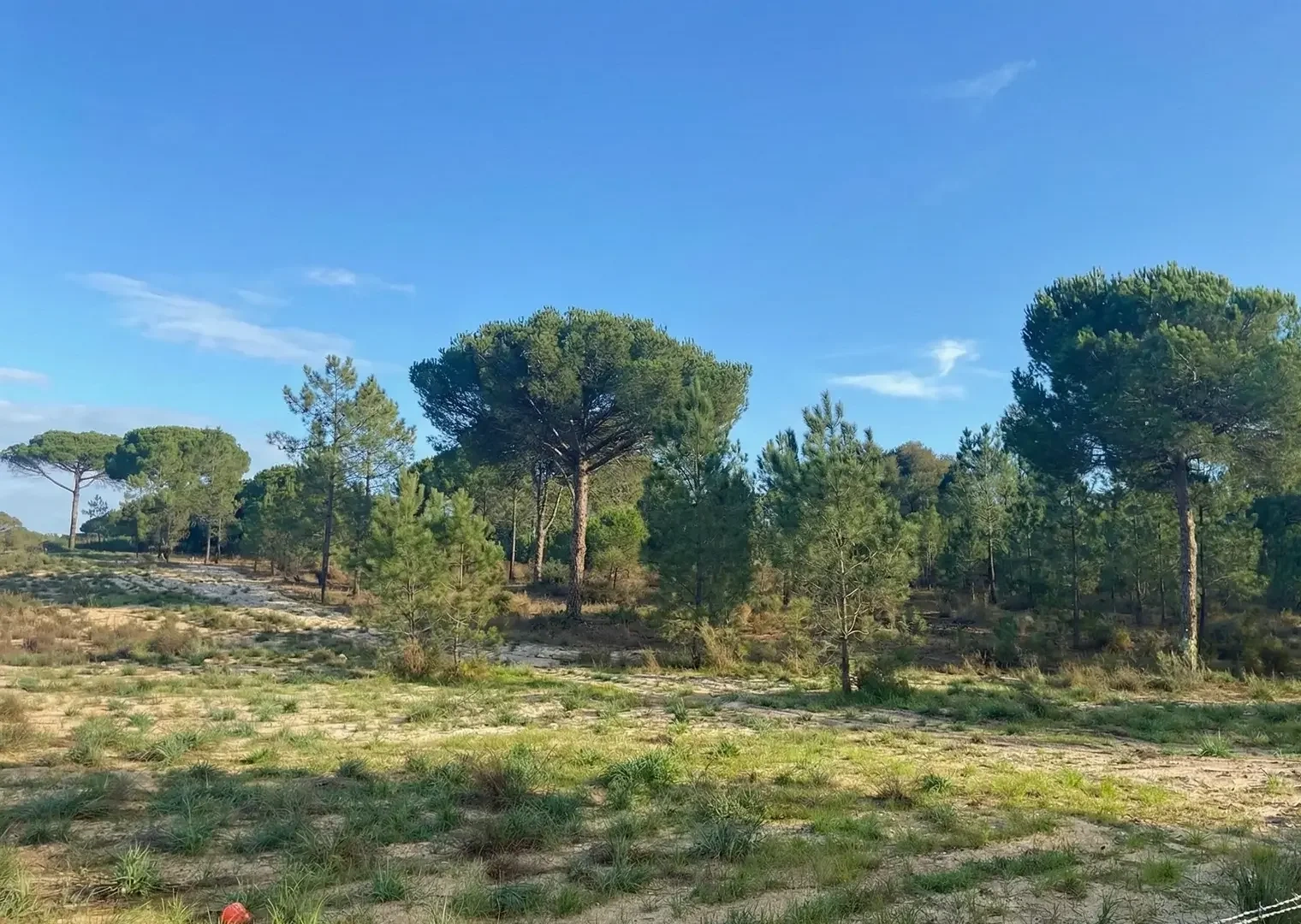 1 - verkauf grundstück comporta alentejo portugal