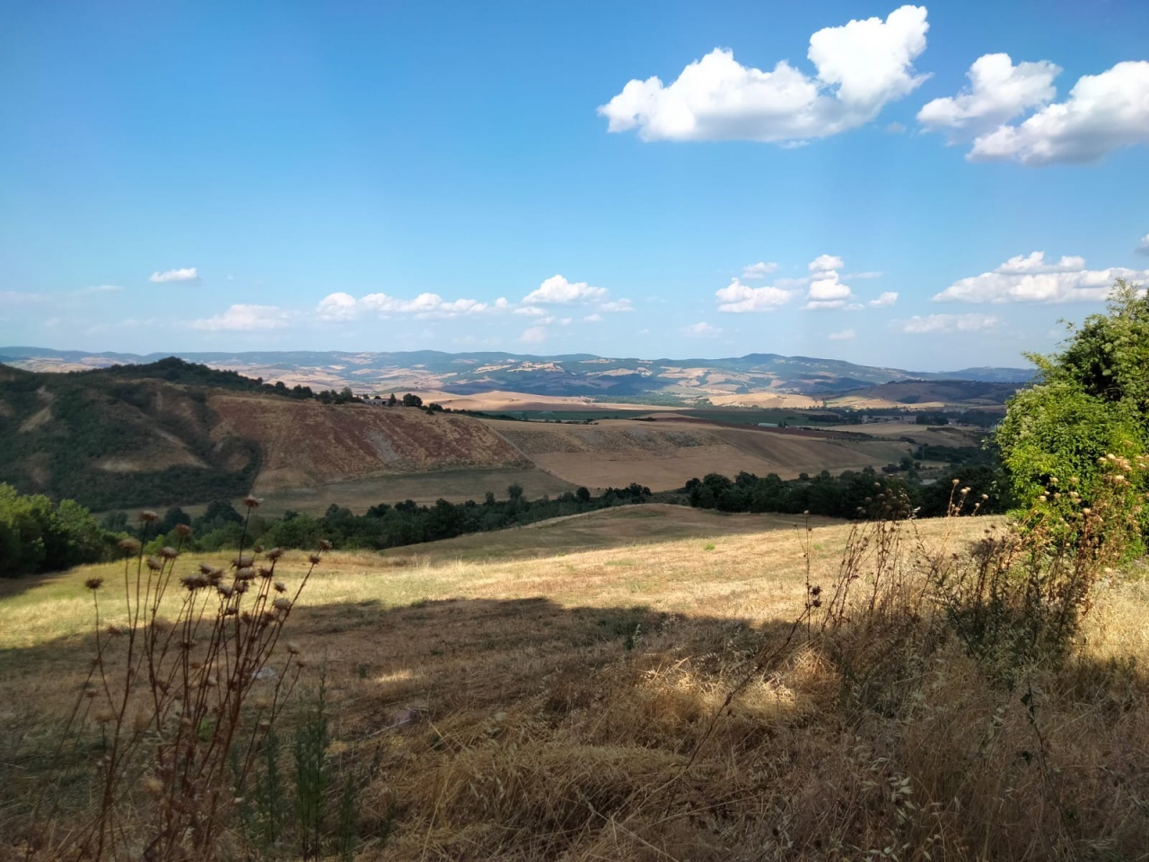 2 - venta comercio castell'azzara toscana italia