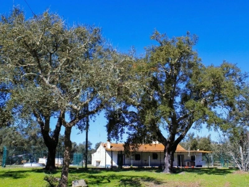 2 - vendita casa santiago do cacém alentejo portogallo