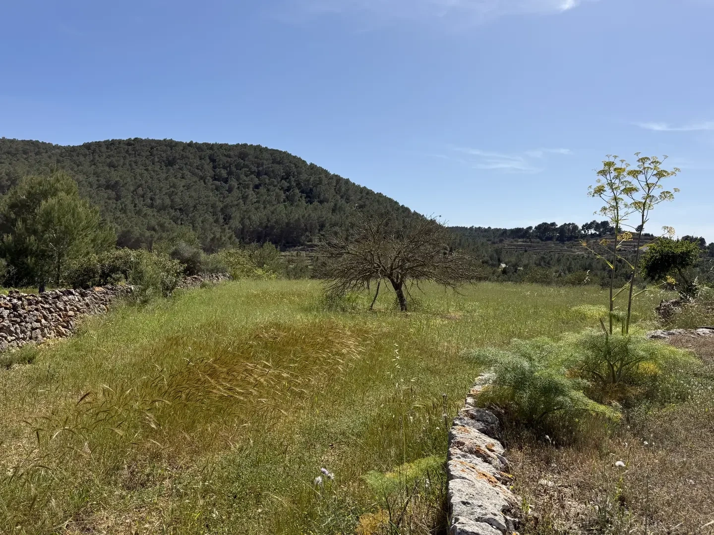1 - venta casa sant mateu d'albarca ibiza - islas baleares españa
