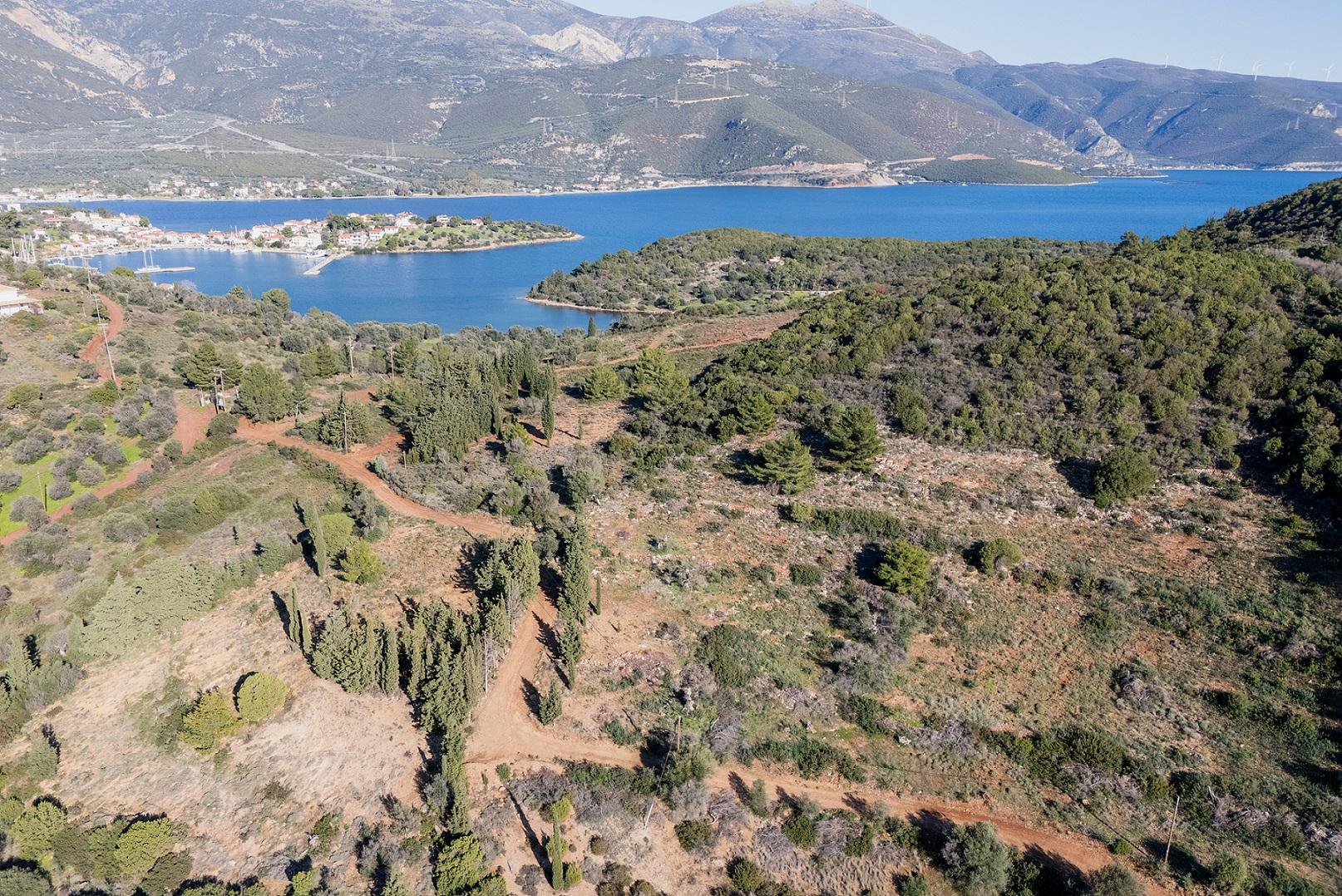1 - vente terrain trizonía grèce centrale grèce