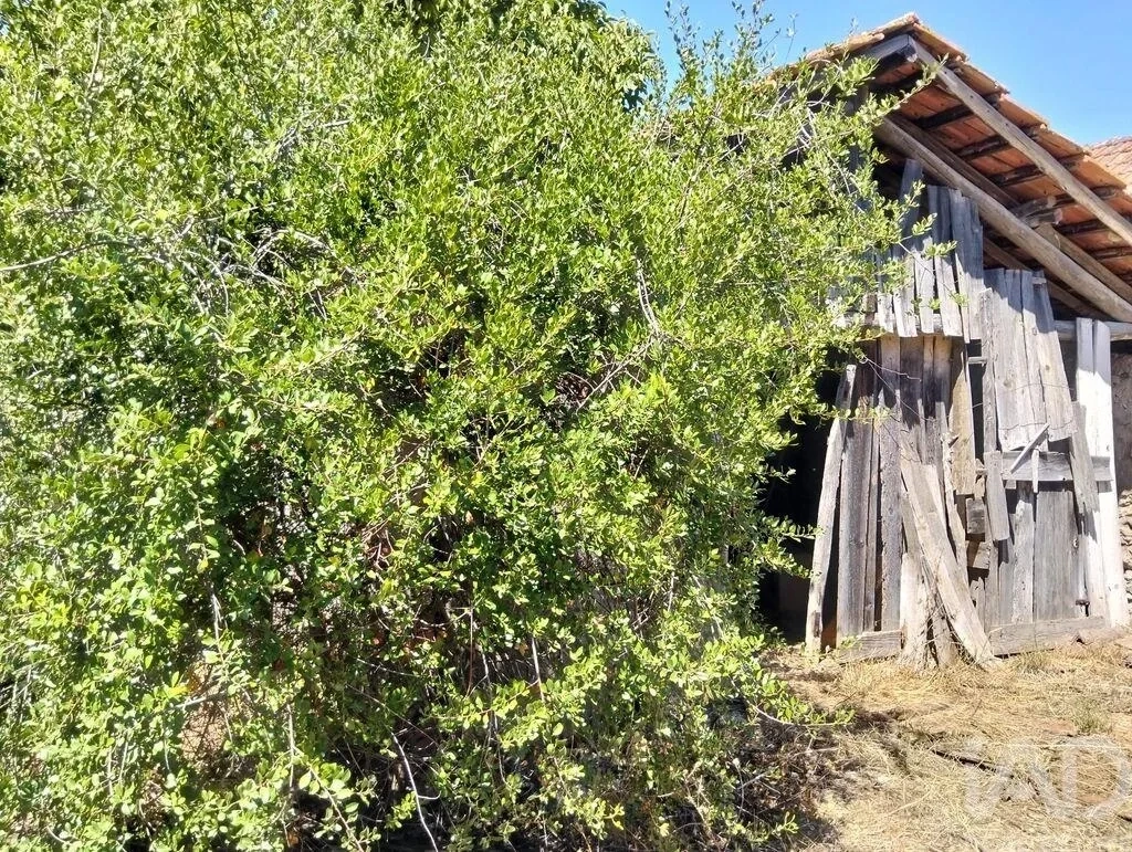 2 - venta villa torres novas región centro portugal