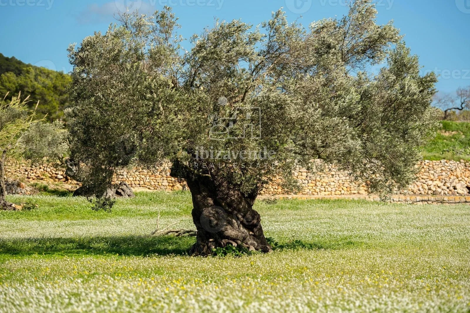1 - vente maison santa eulalia del río ibiza - baléares espagne