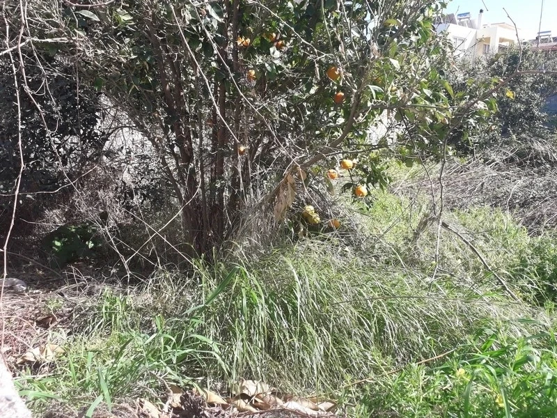 2 - verkauf grundstück strandpromenade platanias kreta griechenland