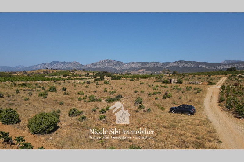 1 - verkoop terrein tautavel pyrénées-orientales frankrijk