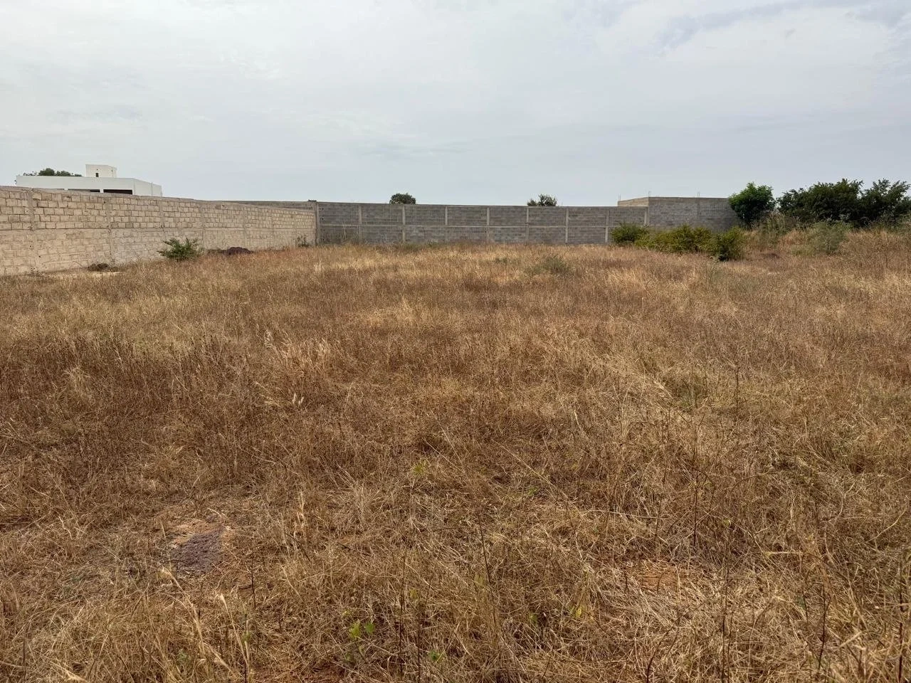 1 - venta terreno ngaring thiès senegal