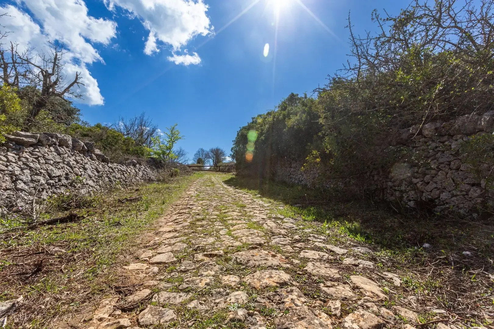 2 - vente propriété martina franca pouilles italie