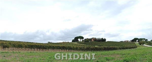 2 - vente commerce magliano in toscana toscane italie