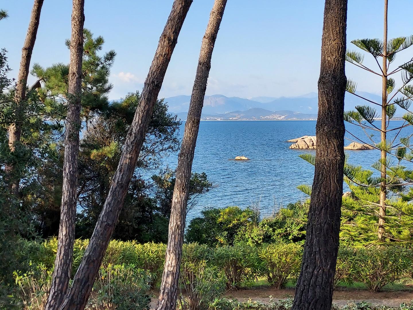 1 - vendita proprietà fronte mare pietrosella corsica del sud francia