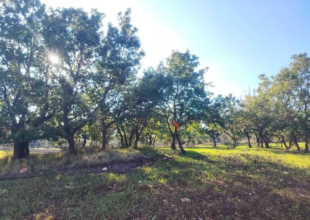 2 - plot of land for sale in ostuni apulia italy