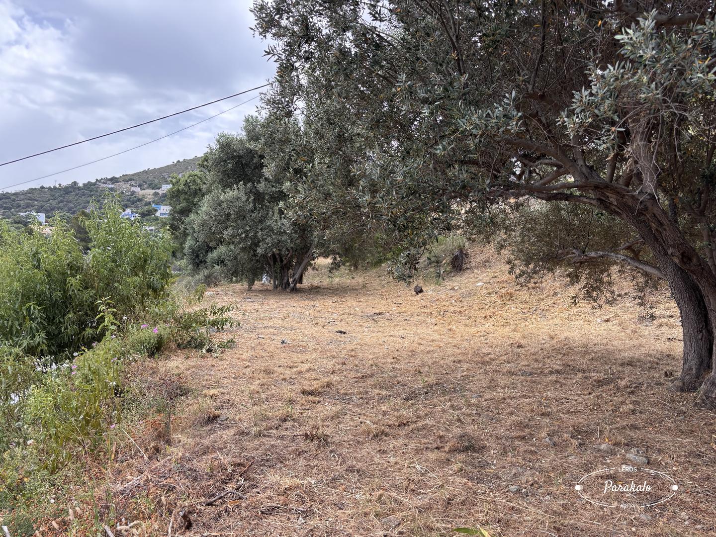 2 - sea view plot of land for sale in leros south aegean greece
