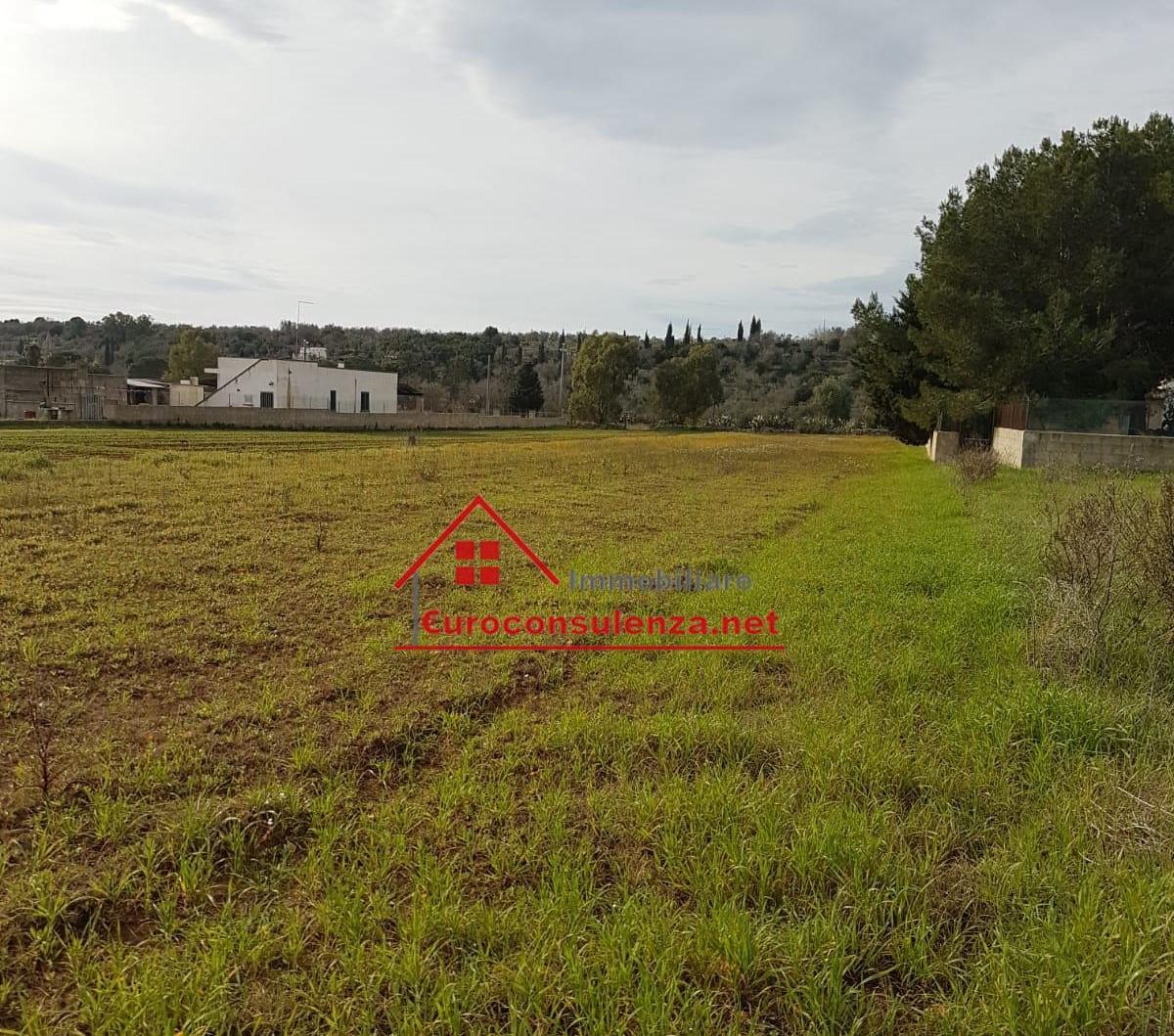 1 - verkoop terrein specchia apulia italië