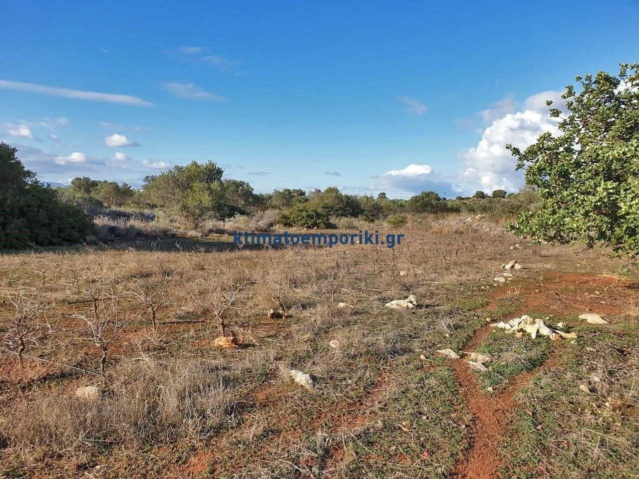 2 - vente terrain akrotiri crète grèce