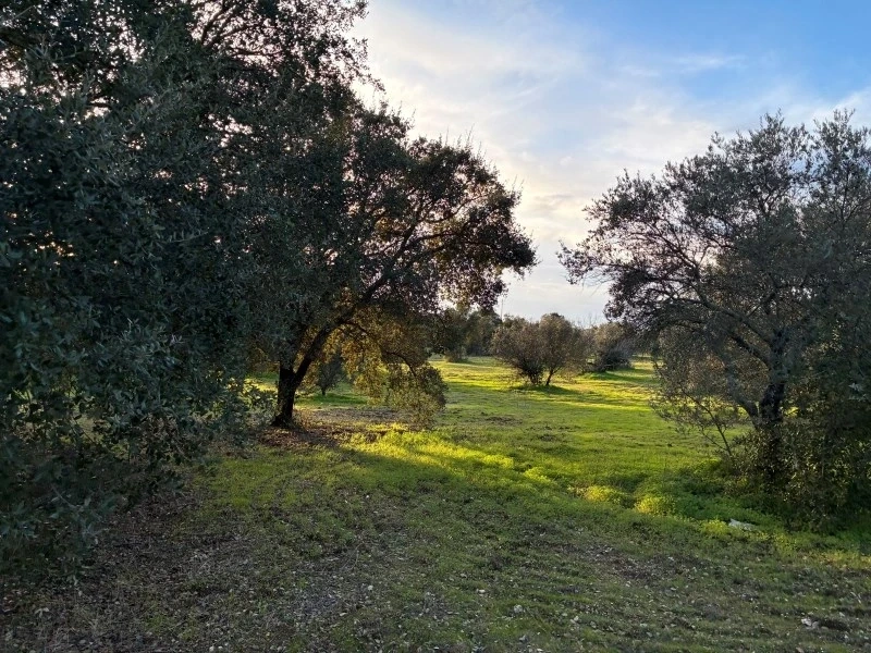 2 - house for sale in serpa alentejo portugal