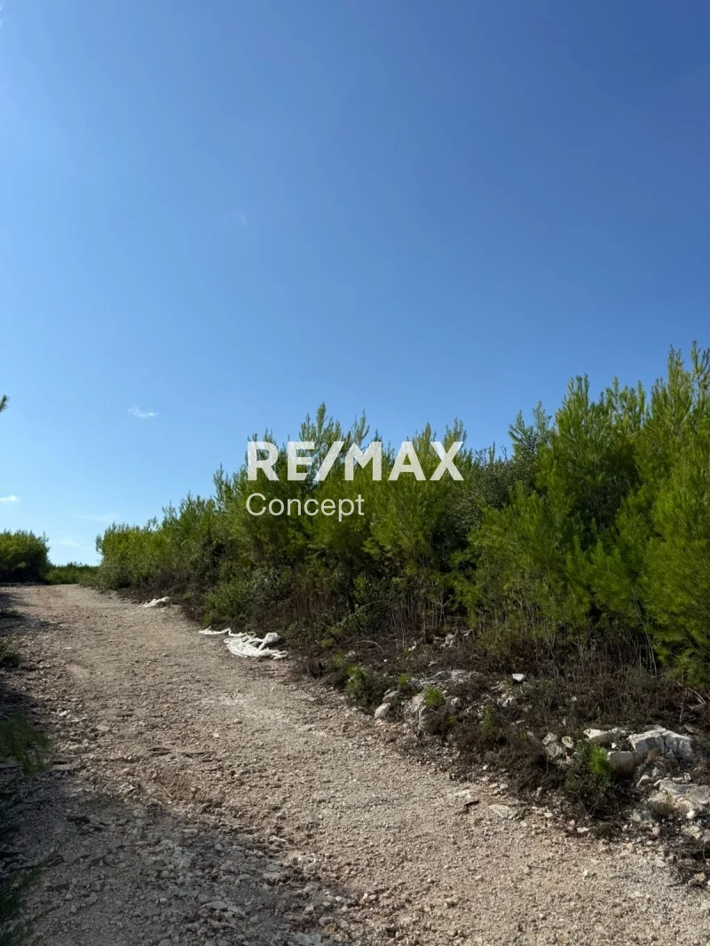 2 - venta terreno zante islas jónicas grecia