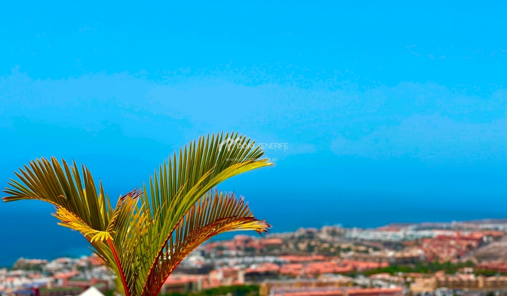 1 - vendita appartamento vista mare adeje tenerife - isole canarie spagna