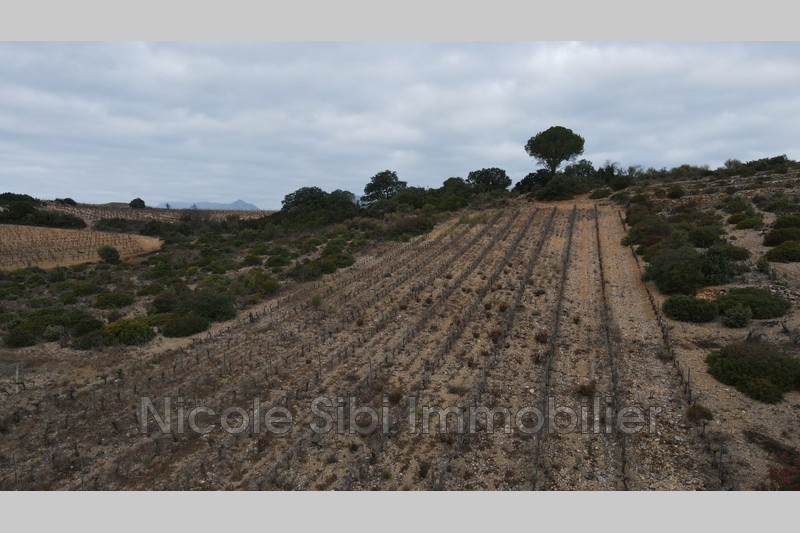 2 - verkoop terrein tautavel pyrénées-orientales frankrijk