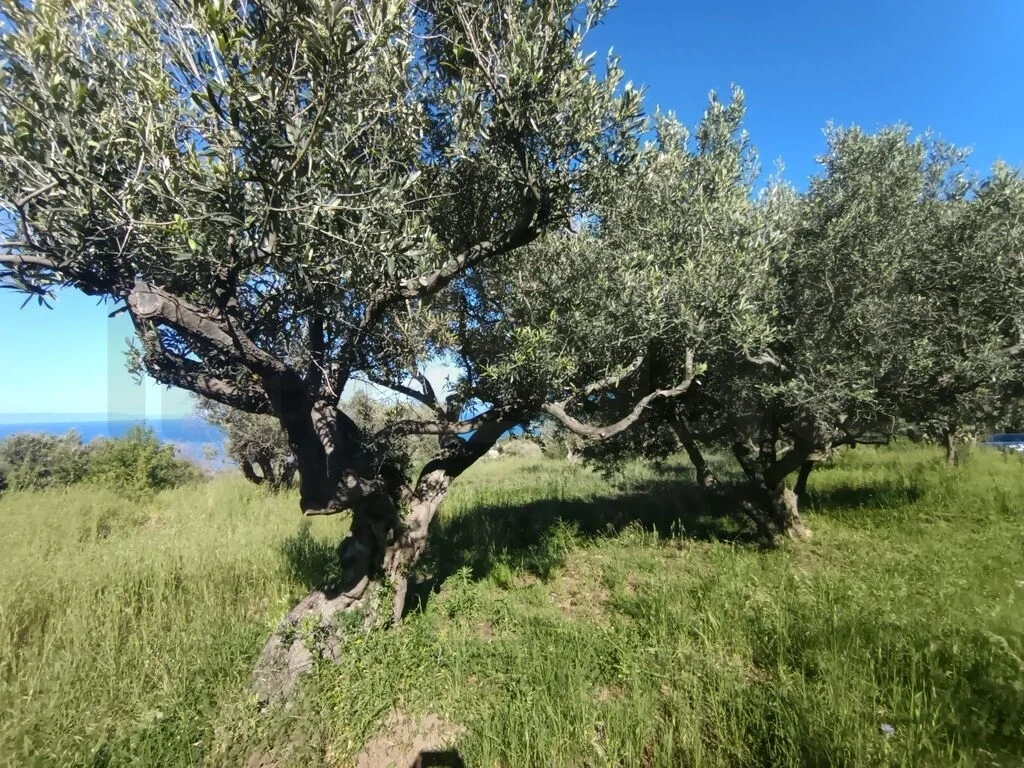 2 - vente maison messina sicile italie