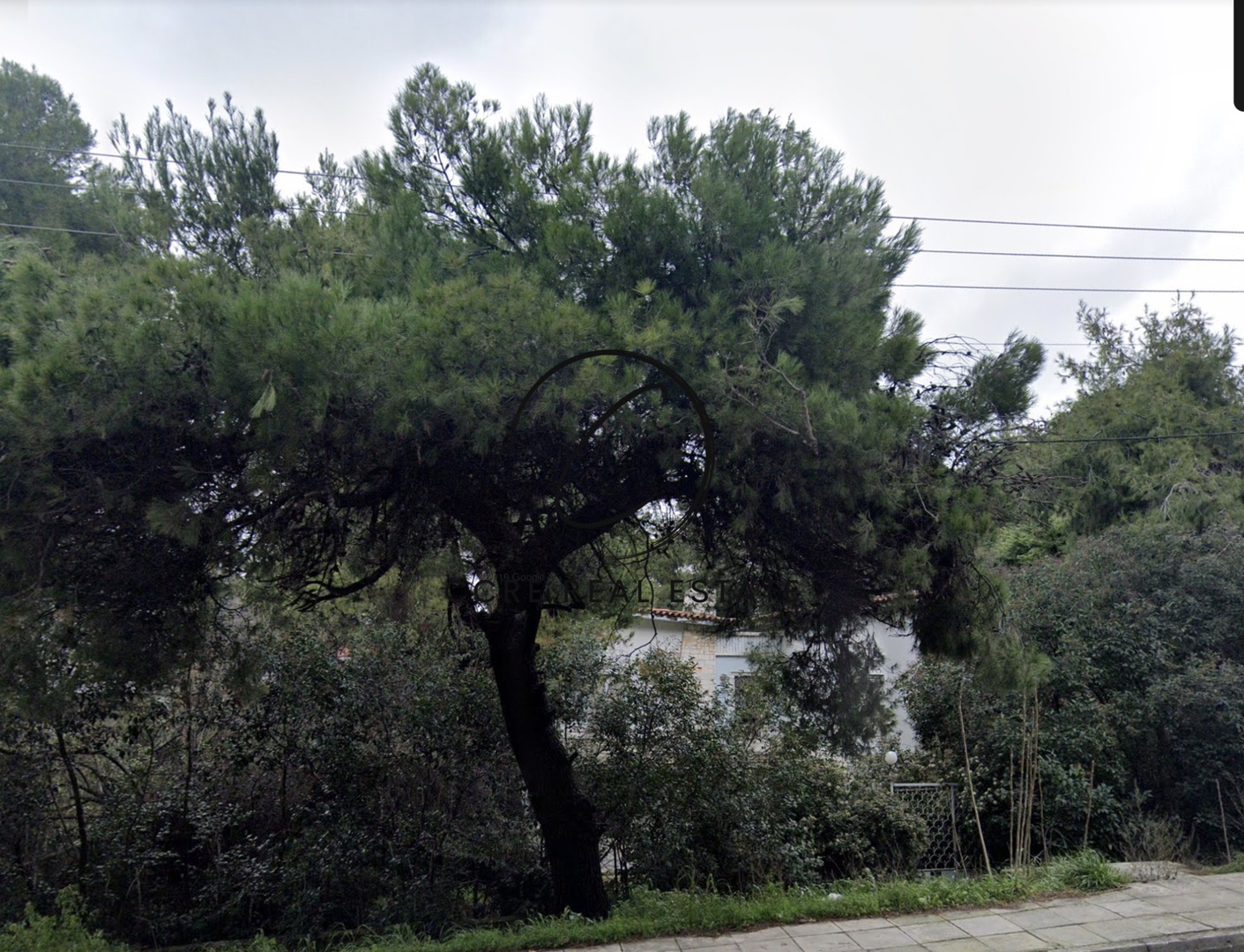 1 - vente terrain ekali attique grèce