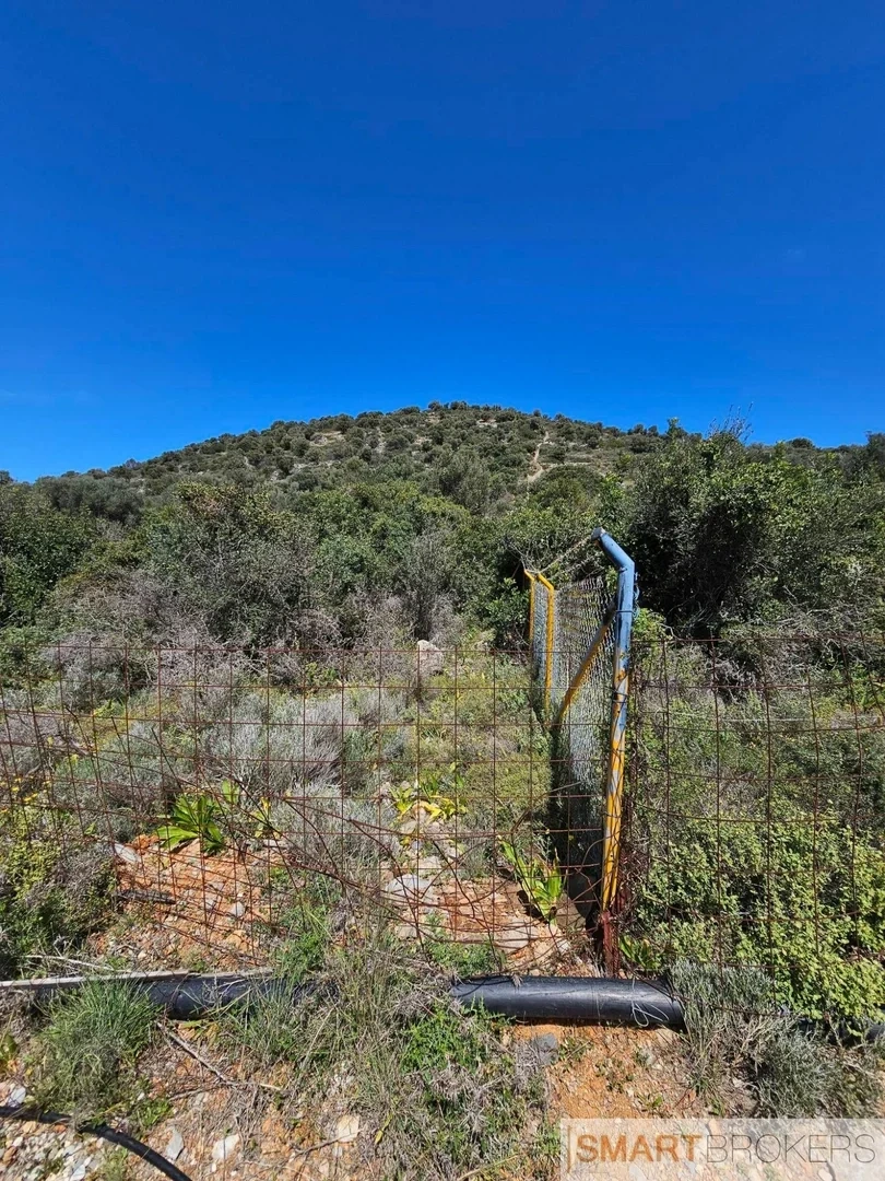 2 - vente terrain sísi crète grèce