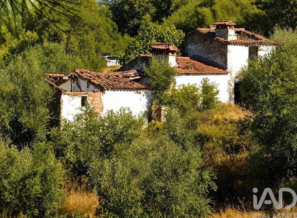 1 - verkauf anwesen portalegre alentejo portugal