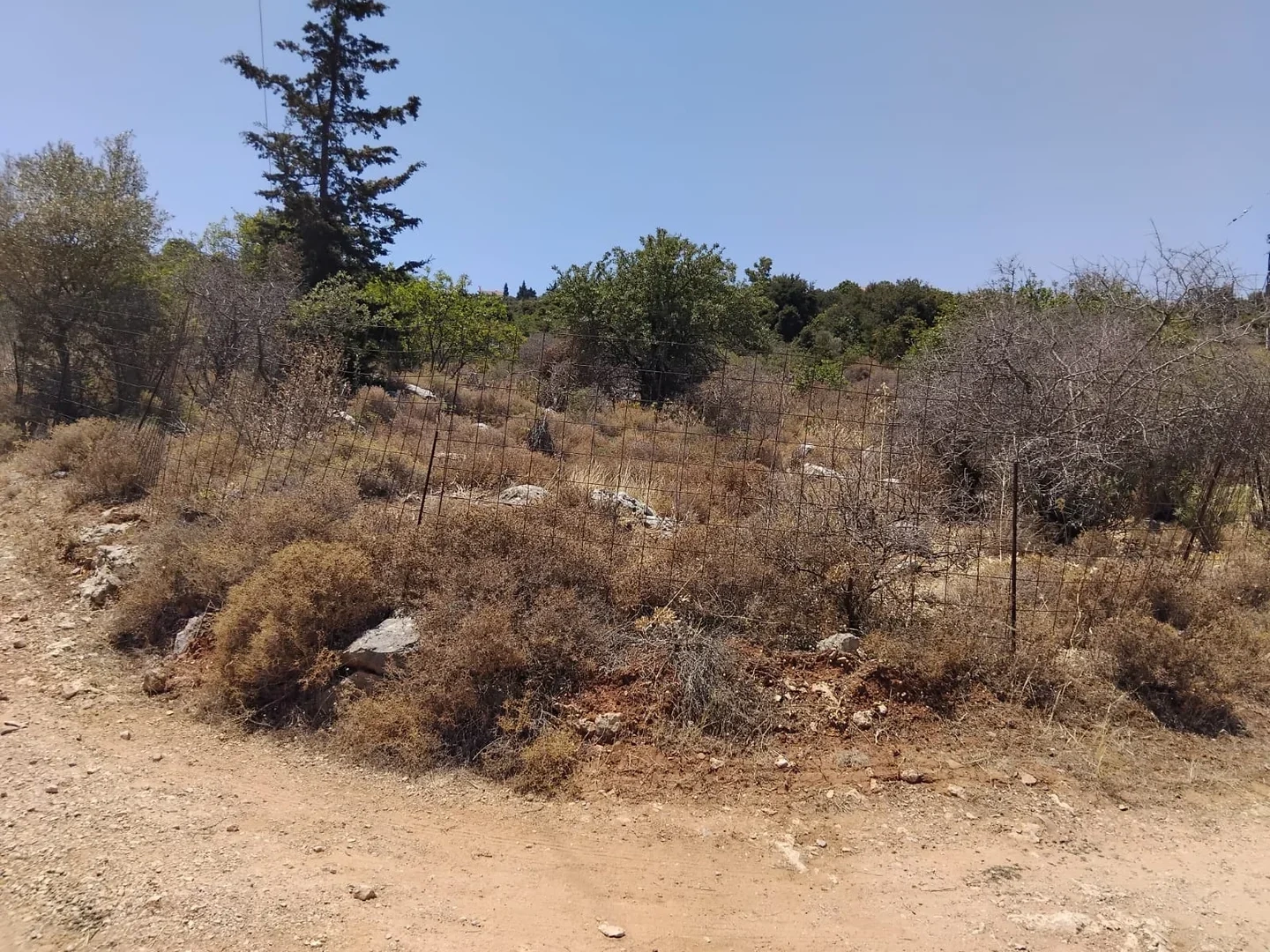1 - vente terrain vue mer gavalochori crète grèce