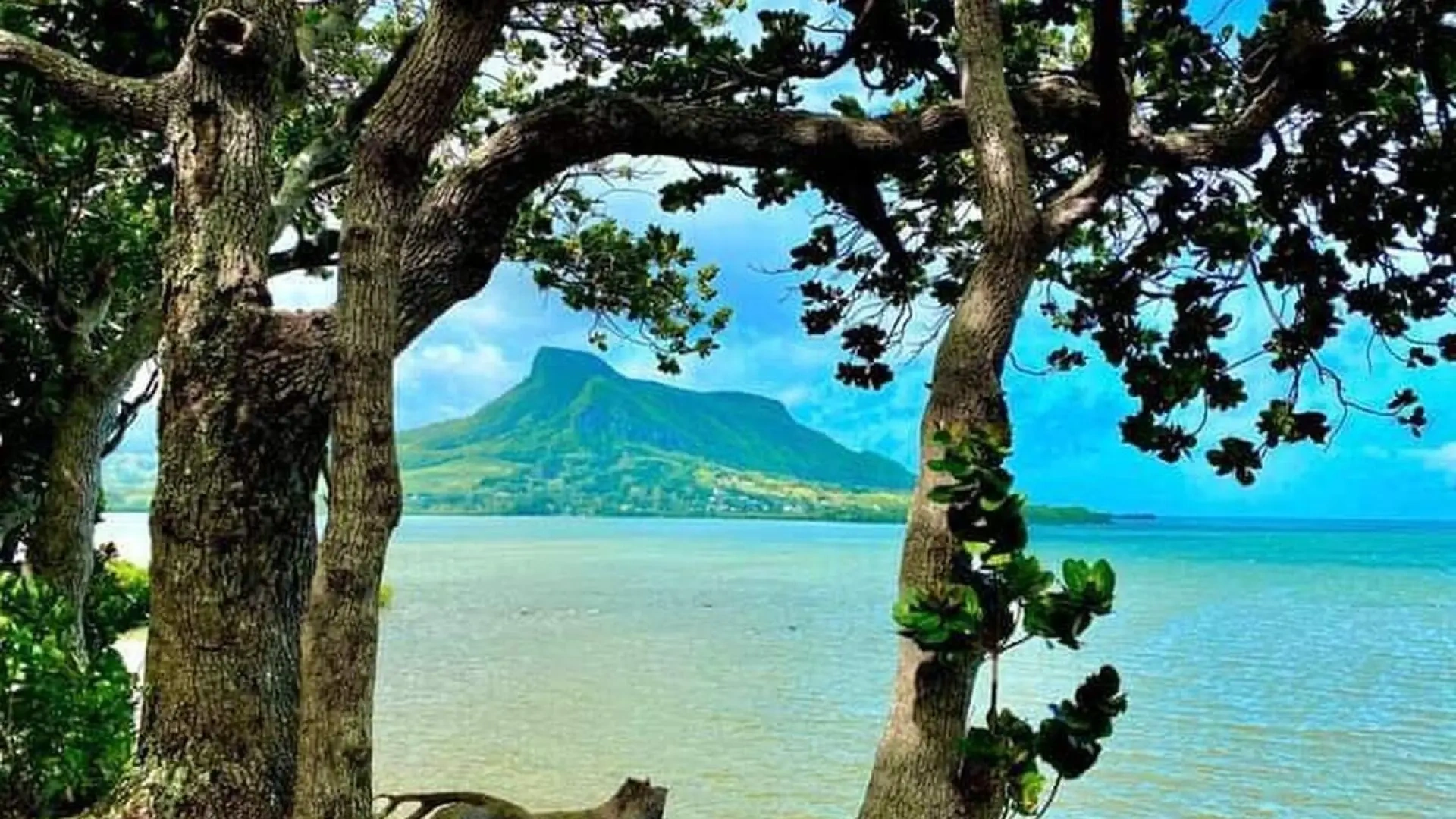 2 - waterfront plot of land for sale in vieux grand port grand port mauritius