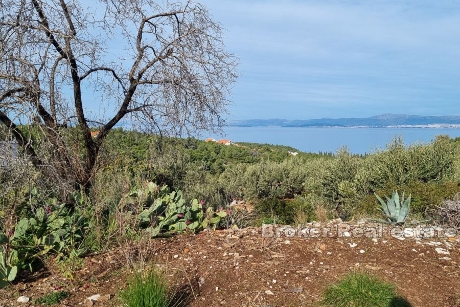 2 - verkauf grundstück meerblick brač split-dalmatien kroatien