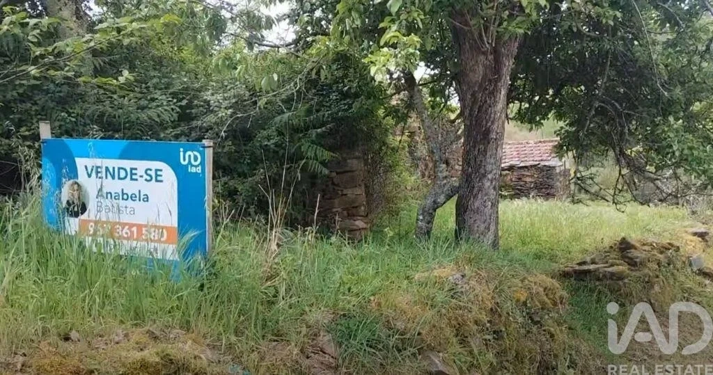 1 - venta terreno penafiel región norte portugal
