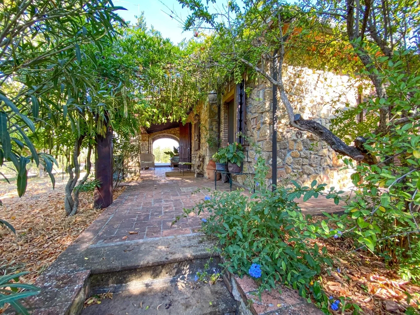 2 - vente maison bibbona toscane italie