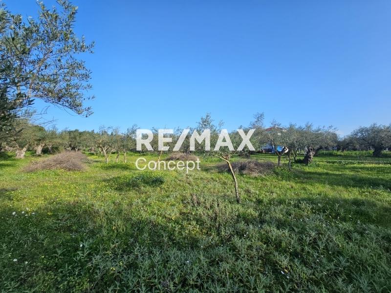 2 - venta terreno zante islas jónicas grecia