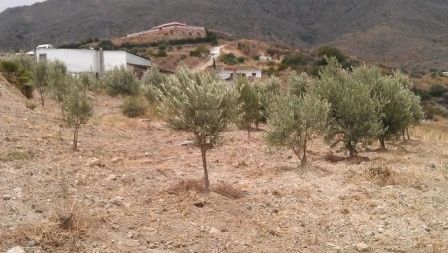 1 - venta terreno vista al mar estepona - costa del sol andalucía españa