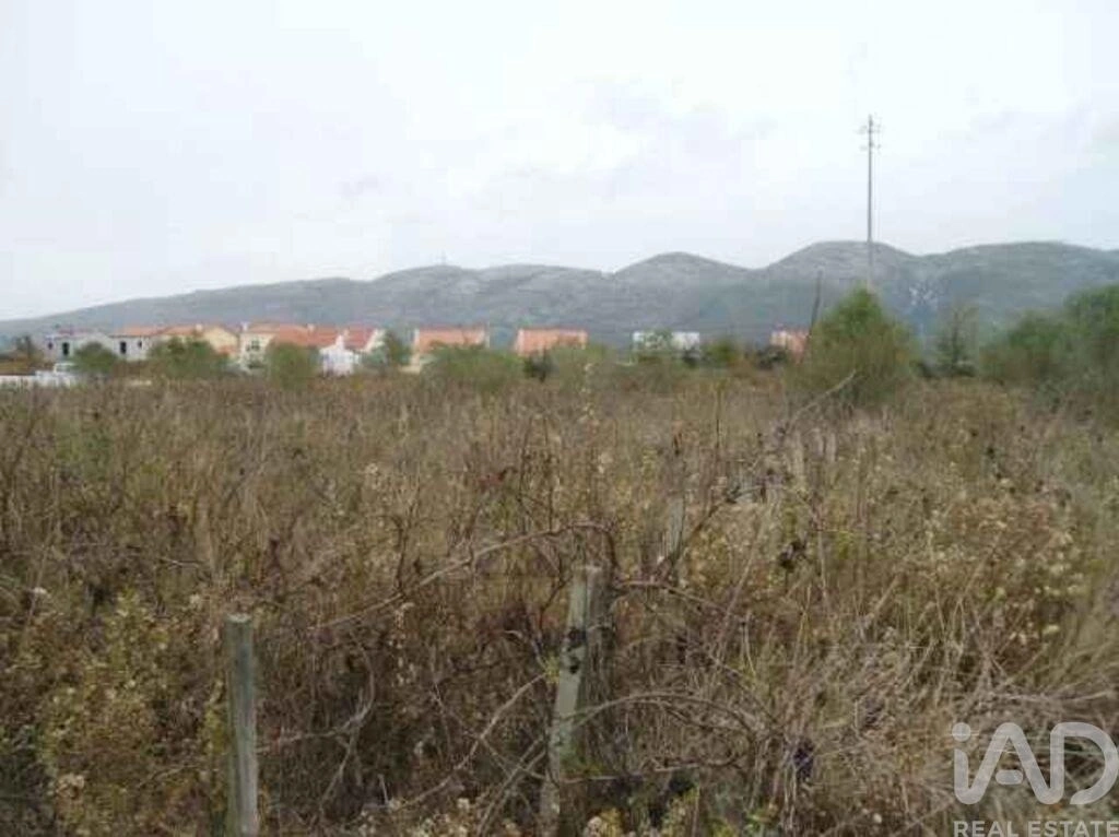 2 - vente terrain aljubarrota région centre portugal