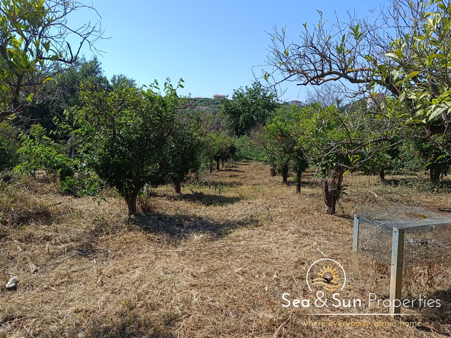 2 - vendita terreno nea kydonia creta grecia